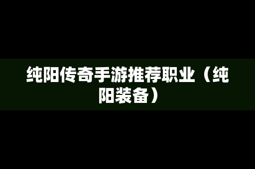 纯阳传奇手游推荐职业（纯阳装备）