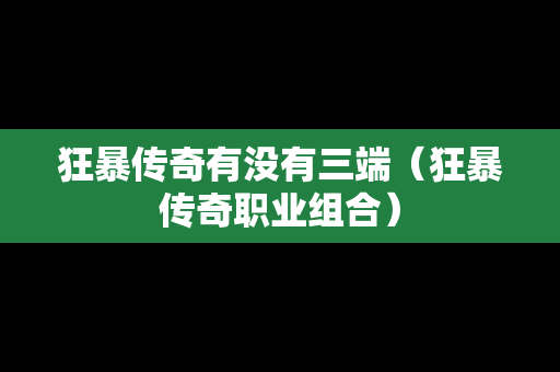 狂暴传奇有没有三端（狂暴传奇职业组合）
