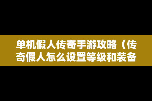 单机假人传奇手游攻略（传奇假人怎么设置等级和装备）