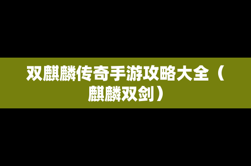 双麒麟传奇手游攻略大全（麒麟双剑）