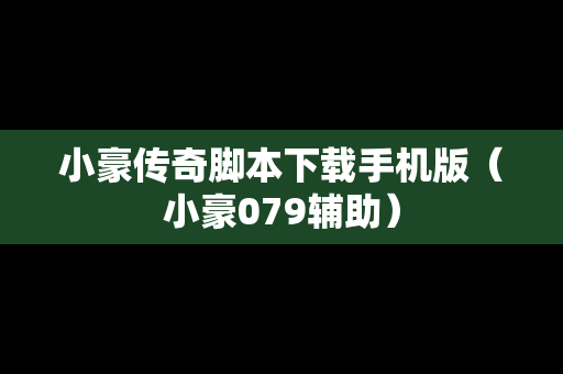 小豪传奇脚本下载手机版（小豪079辅助）