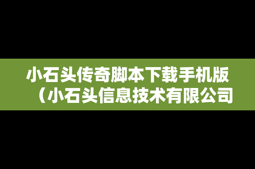 小石头传奇脚本下载手机版（小石头信息技术有限公司）