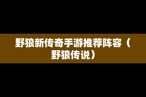 野狼新传奇手游推荐阵容（野狼传说）
