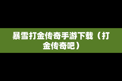 暴雪打金传奇手游下载（打金传奇吧）