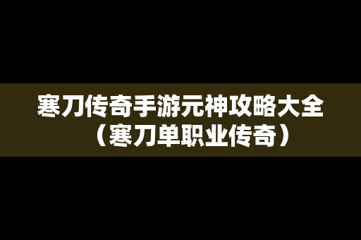 寒刀传奇手游元神攻略大全（寒刀单职业传奇）