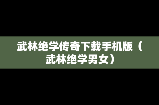 武林绝学传奇下载手机版（武林绝学男女）
