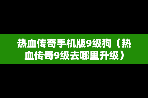 热血传奇手机版9级狗（热血传奇9级去哪里升级）