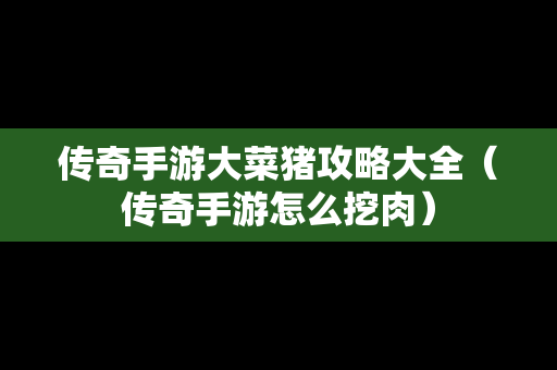 传奇手游大菜猪攻略大全（传奇手游怎么挖肉）