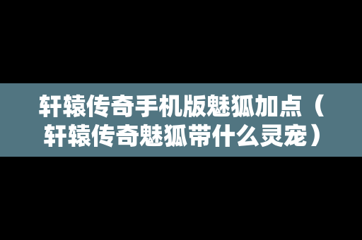 轩辕传奇手机版魅狐加点（轩辕传奇魅狐带什么灵宠）