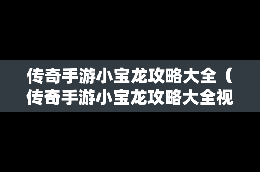 传奇手游小宝龙攻略大全（传奇手游小宝龙攻略大全视频）